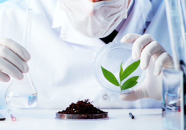 创新中药研究与开发